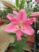 [5678 VZ W10 0999-01 No02.JPG]